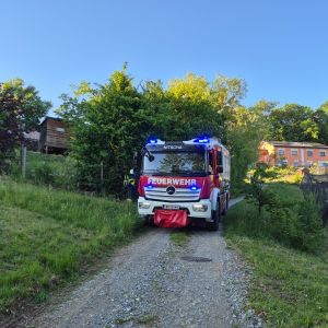 dd12b2de-48c9-4b78-97a3-273e9b89c3c7.jpeg
